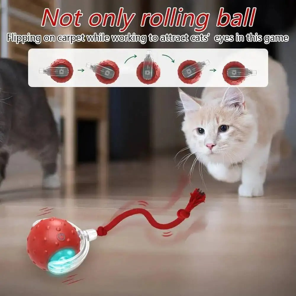 Automatic Cat Ball Toy, Runs When Touched - Red - Shehealth