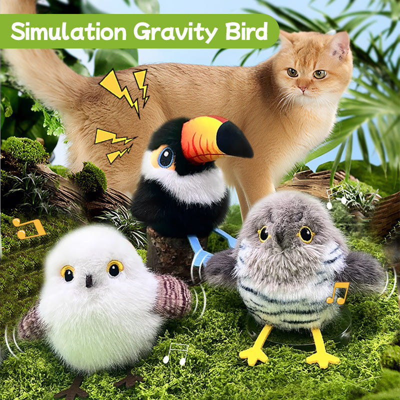 Three plush birds with a cat in a natural setting, labeled 'Simulation Gravity Bird'.