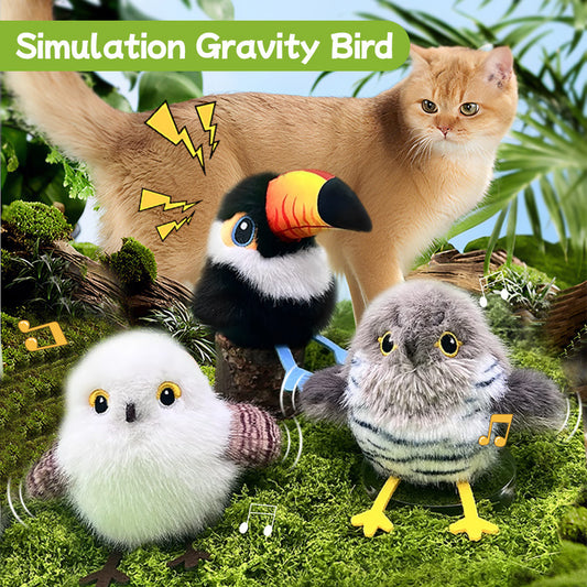 Three plush birds with a cat in a natural setting, labeled 'Simulation Gravity Bird'.