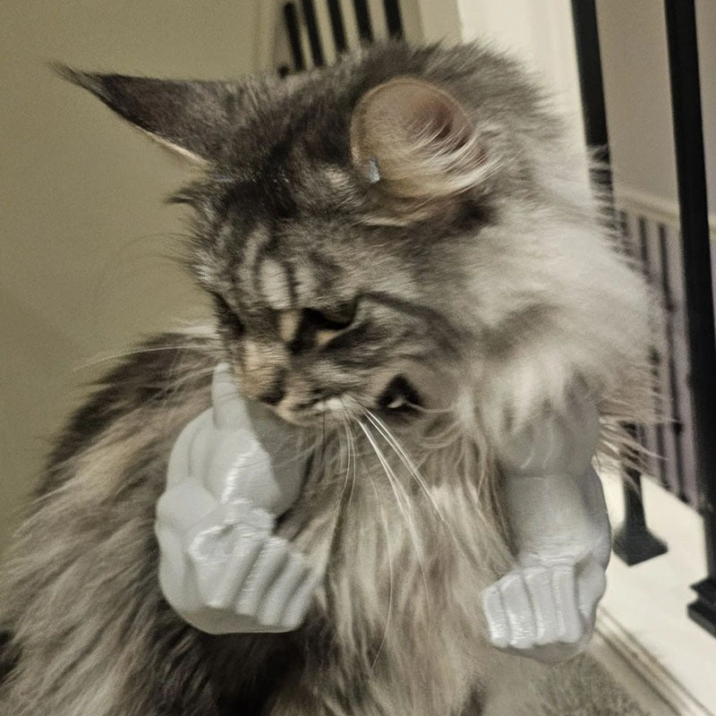 Funny Cat Muscle Arms Neck Prop for Photos and Gifts
