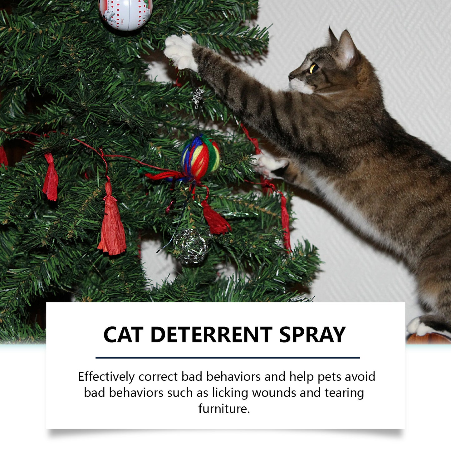 Cat Deterrent Spray With Peppermint Extract