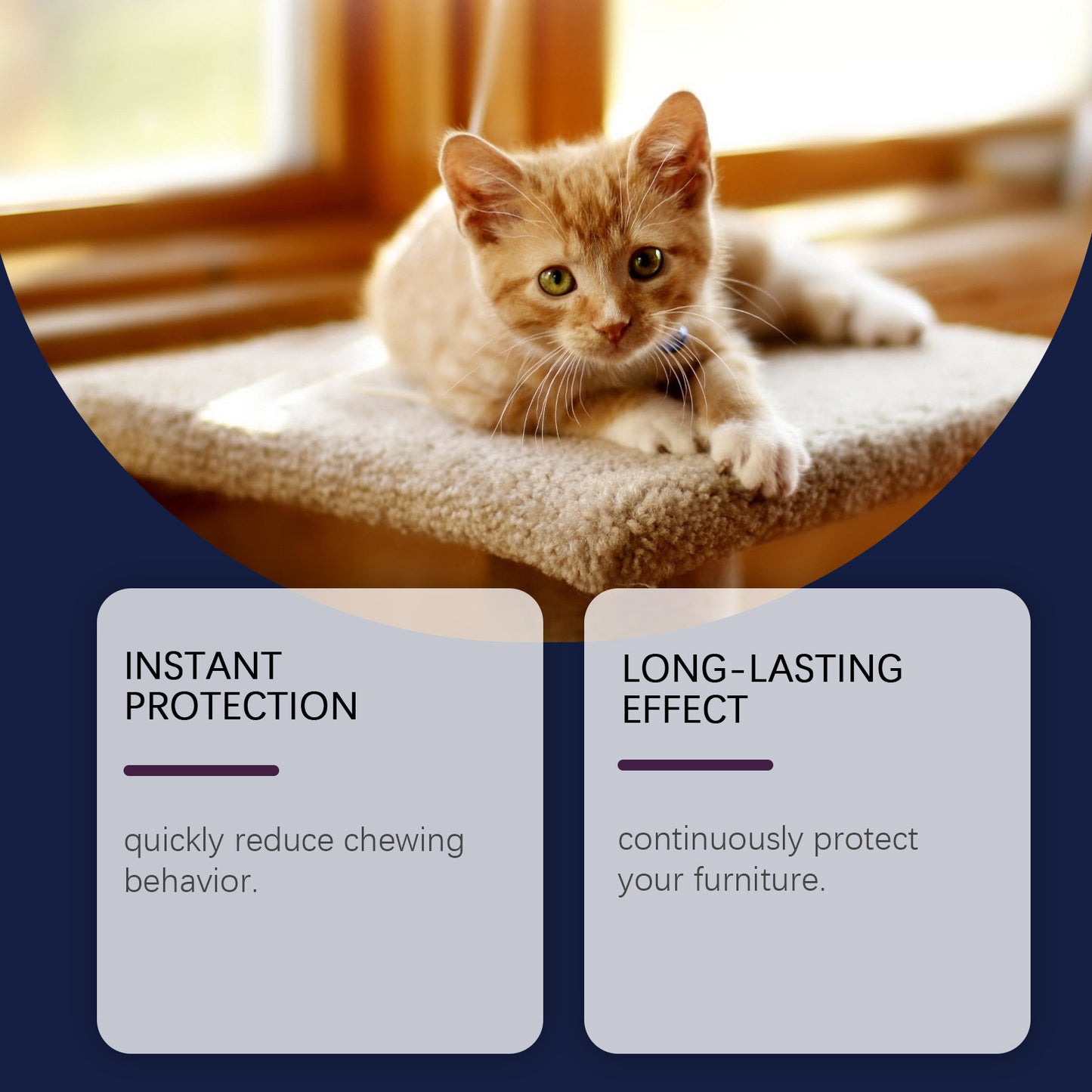 Cat Deterrent Spray With Peppermint Extract