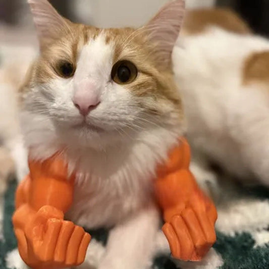 Funny Cat Muscle Arms Neck Prop for Photos and Gifts