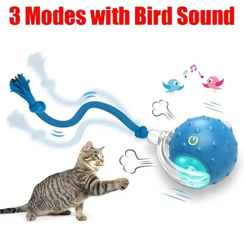Automatic Cat Ball Toy, Runs When Touched - Blue with bird sound - Shehealth