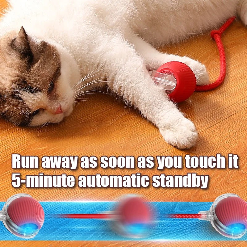 Automatic Cat Ball Toy, Runs When Touched - Red - Shehealth