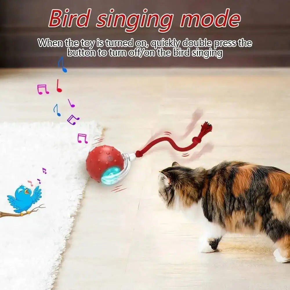 Automatic Cat Ball Toy, Runs When Touched - Red - Shehealth